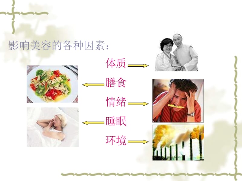 中医美容基础.ppt_第2页