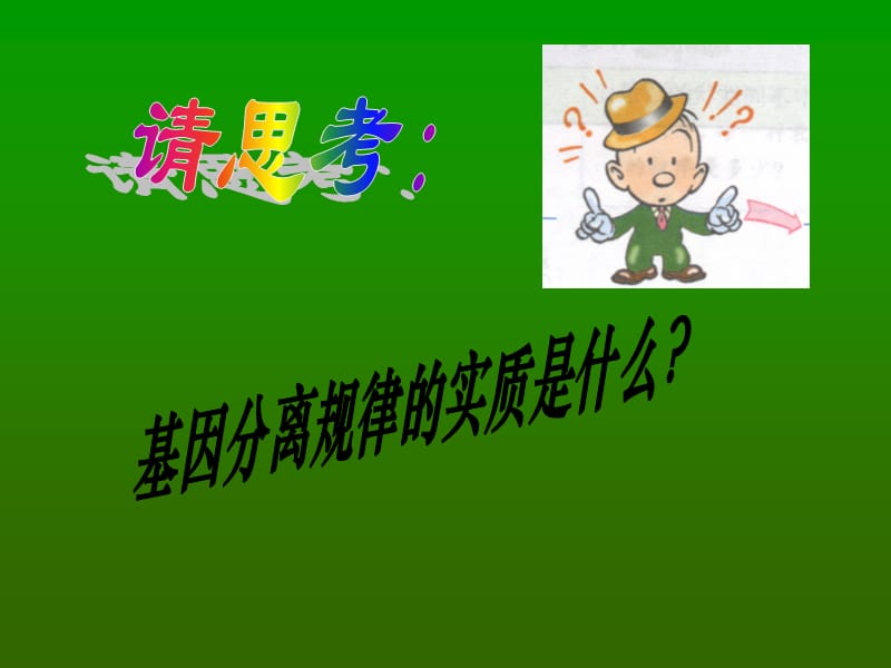 基因自由组合规律3.ppt_第2页