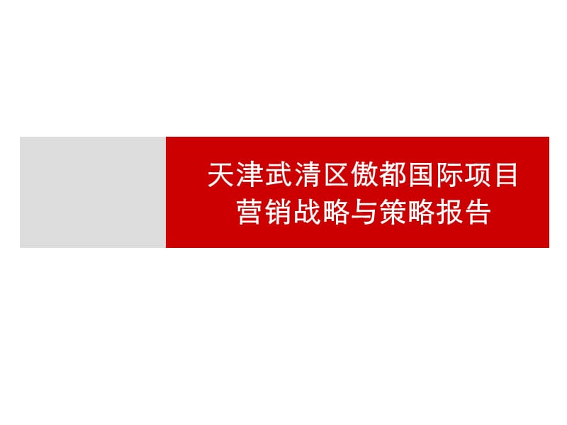 2009天津武清区傲都国际项目营销战略与策略报告.ppt_第1页