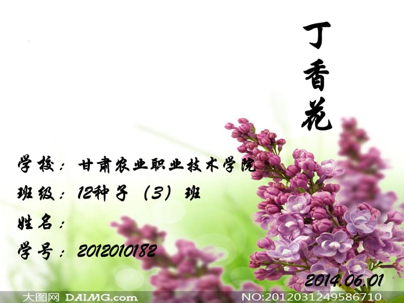 丁香花雅芳.ppt_第1页