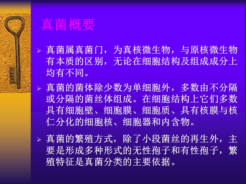 微生物学：真核微生物.ppt_第3页