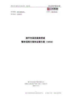 福建漳平市闽西南商贸城整体招商方案和运营方案.doc