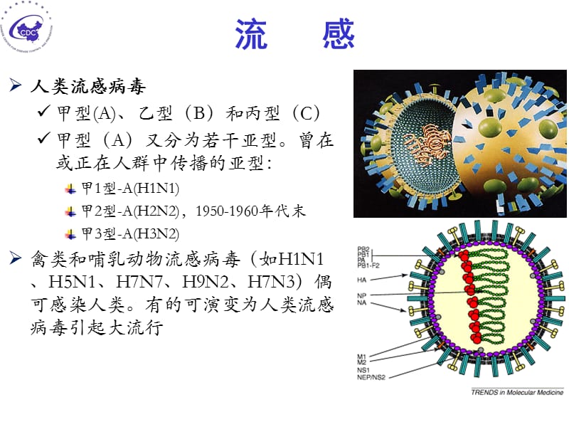 中国流感防控现状和挑战 (2).ppt_第3页