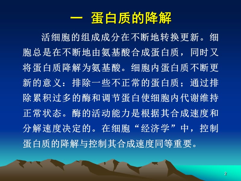 第12章蛋白质和氨基酸的代谢.ppt_第2页