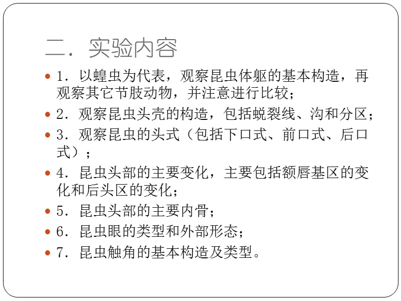 普通昆虫学实验1.ppt_第3页