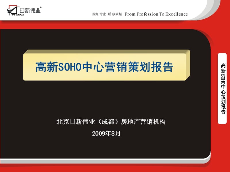 2009高新SOHO中心营销策划报告41p.ppt_第2页