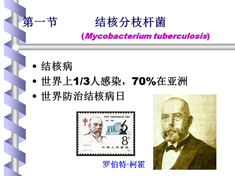 第15章分枝杆菌属w.ppt_第2页