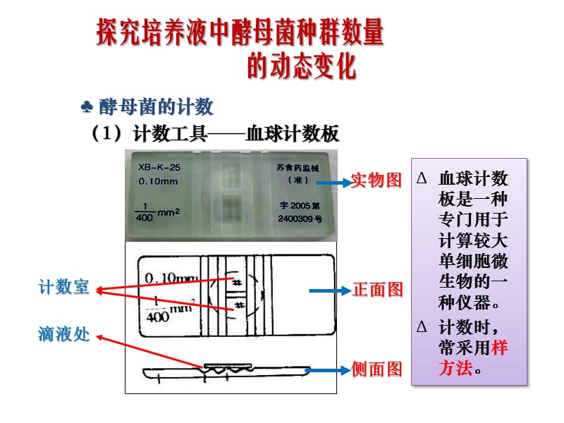 人教版教学课件探究酵母菌种群数量变化.ppt_第3页