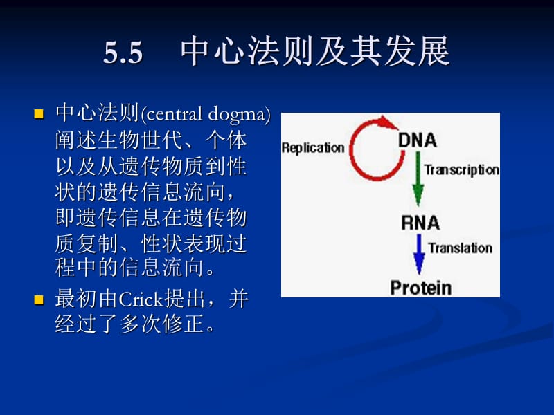 第5章分子水平上的基因功能中.ppt_第2页