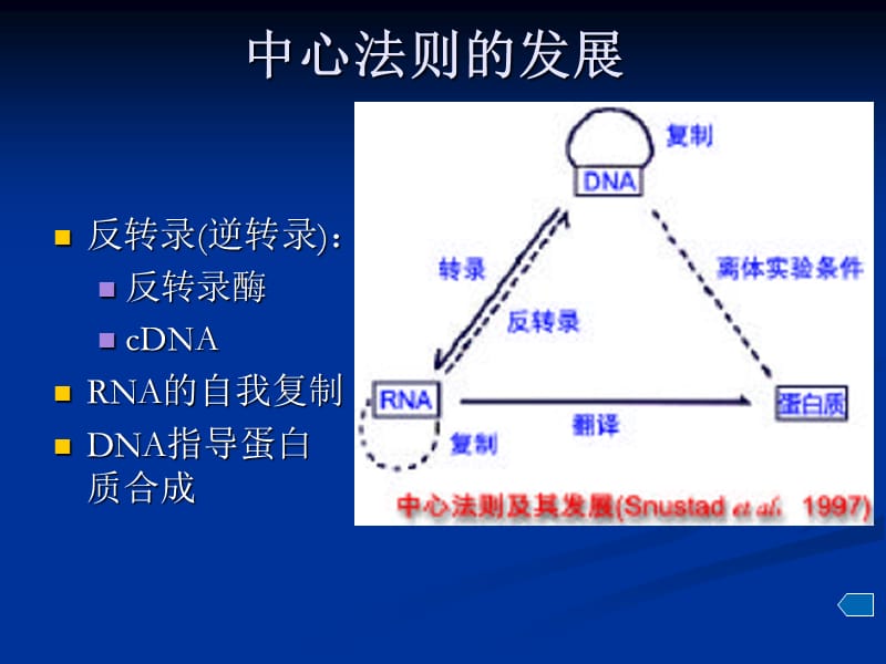 第5章分子水平上的基因功能中.ppt_第3页