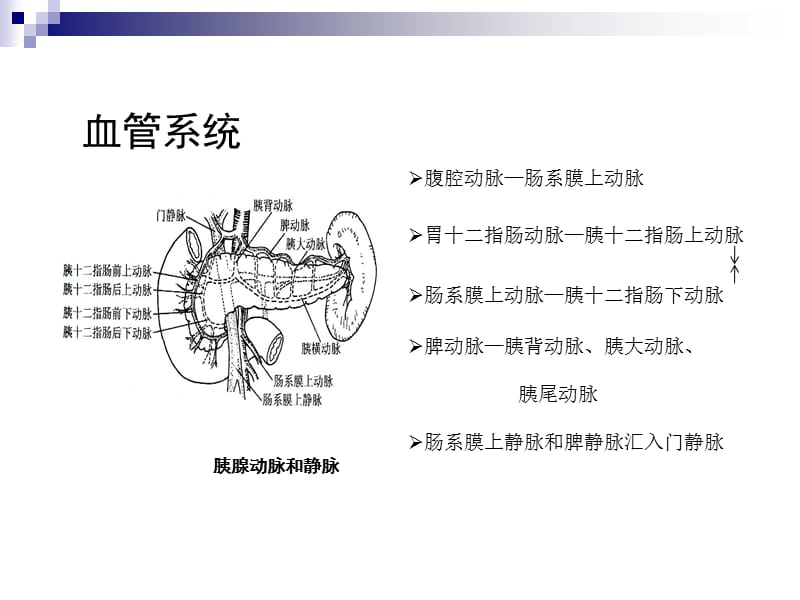 第50章胰腺疾病.ppt_第3页