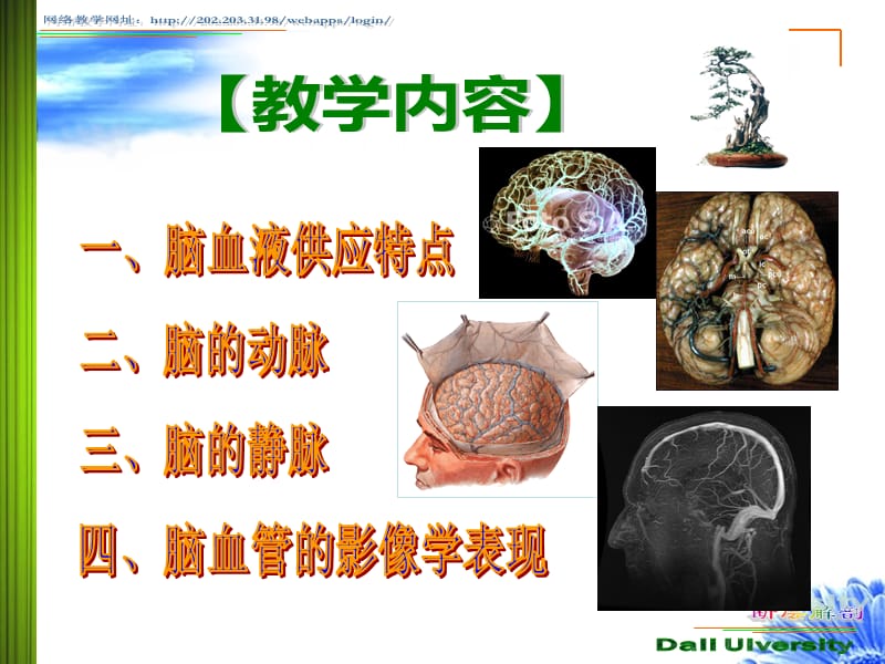 脑血管应用解剖-成.ppt_第2页