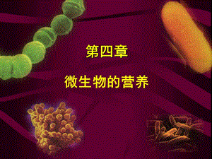 微生物第4章 (2).ppt