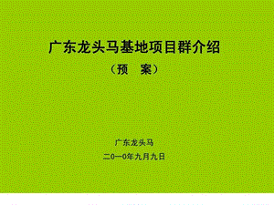 《广东龙头马》PPT课件.ppt