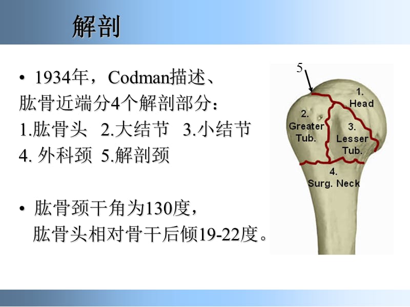 肱骨近段骨折的治疗进展_徐祝军.ppt_第3页