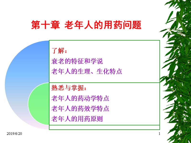 第10章老年人的用药问题.ppt_第1页