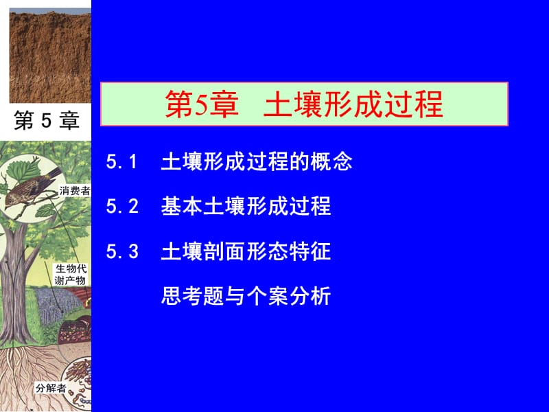 土壤地理学,第5章土壤形成过程 (2).ppt_第1页