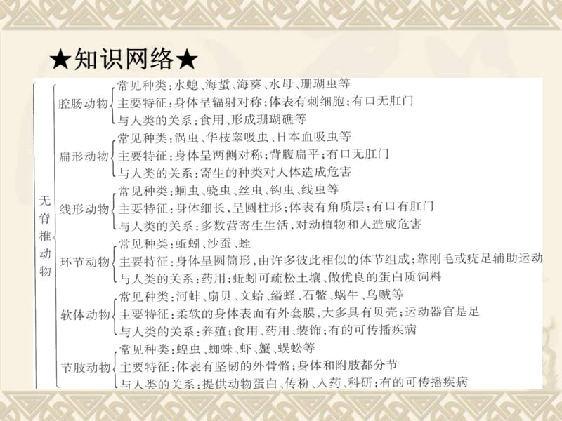 第5单元第1章动物的主要类群.ppt_第2页