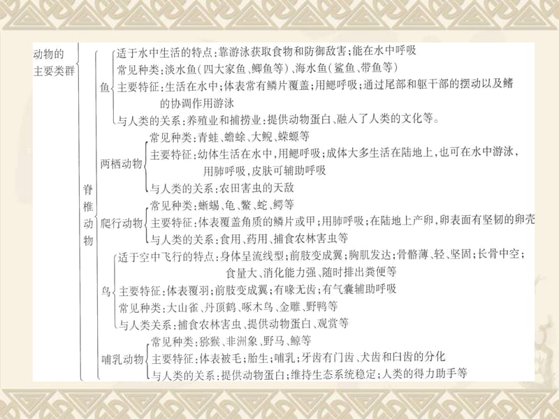 第5单元第1章动物的主要类群.ppt_第3页