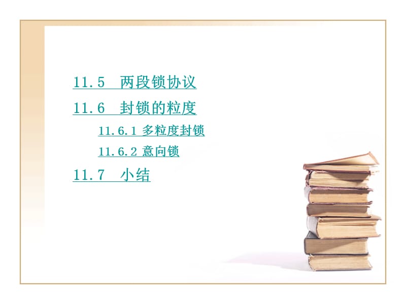 第11章 并发控制.ppt_第3页