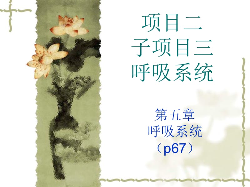 2011呼吸系统.ppt_第1页