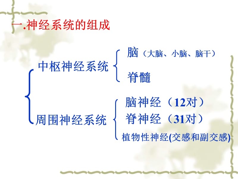 人教版教学课件高考生物一轮复习人和高等动物的神经调节.ppt_第3页