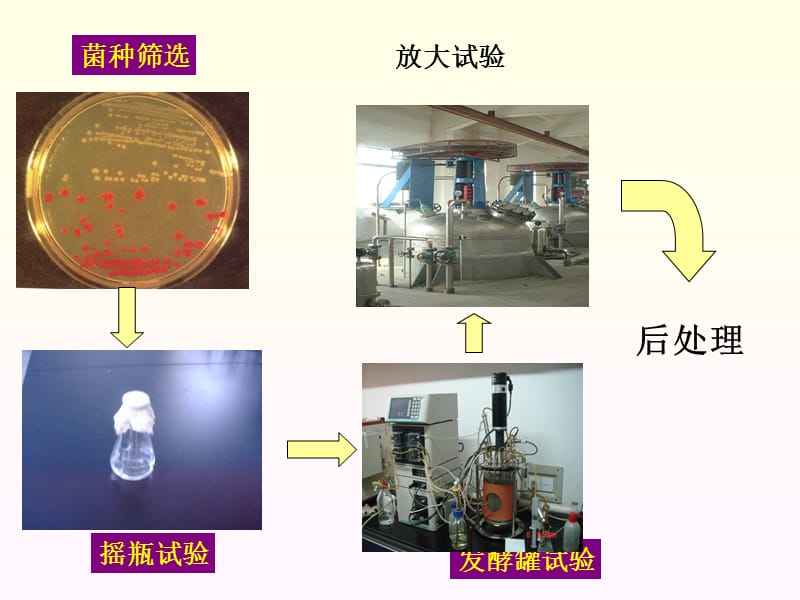 第3章发酵工业的培养基及原料处理jiang.ppt_第2页