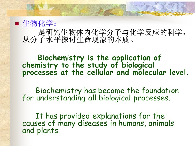 中药类chapter3 protein.ppt_第2页