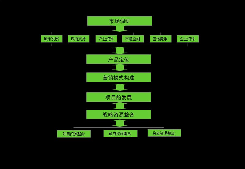 2011孝感秦龙`凤凰城营销策划定位方案.ppt_第2页