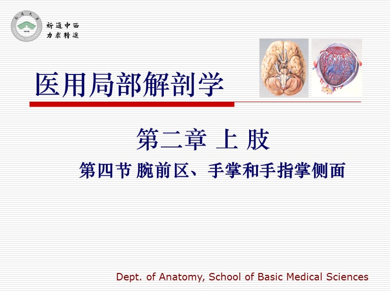 医用局部解剖学-腕前区、手掌和手指掌侧面.ppt_第1页