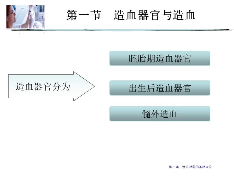 第一章造血检验的基础理论.ppt_第3页