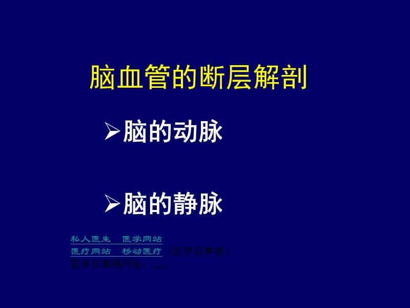 医疗网站医学百事通-脑血管断层解剖 (2).ppt_第1页