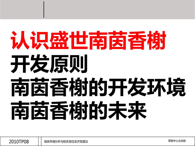 2010辽宁凤城盛世南茵香榭项目包装推广策划方案 45P.ppt_第2页