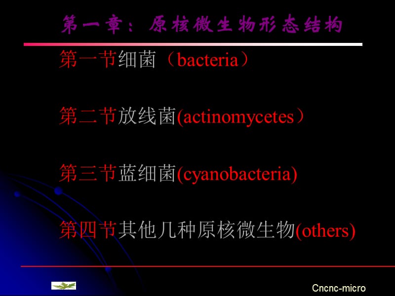 原核微生物的形态结构.ppt_第1页