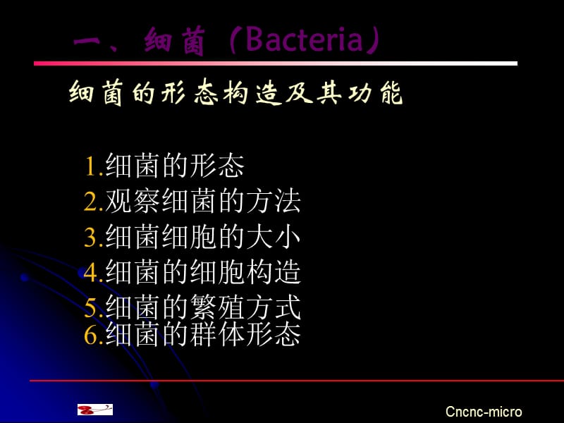 原核微生物的形态结构.ppt_第2页