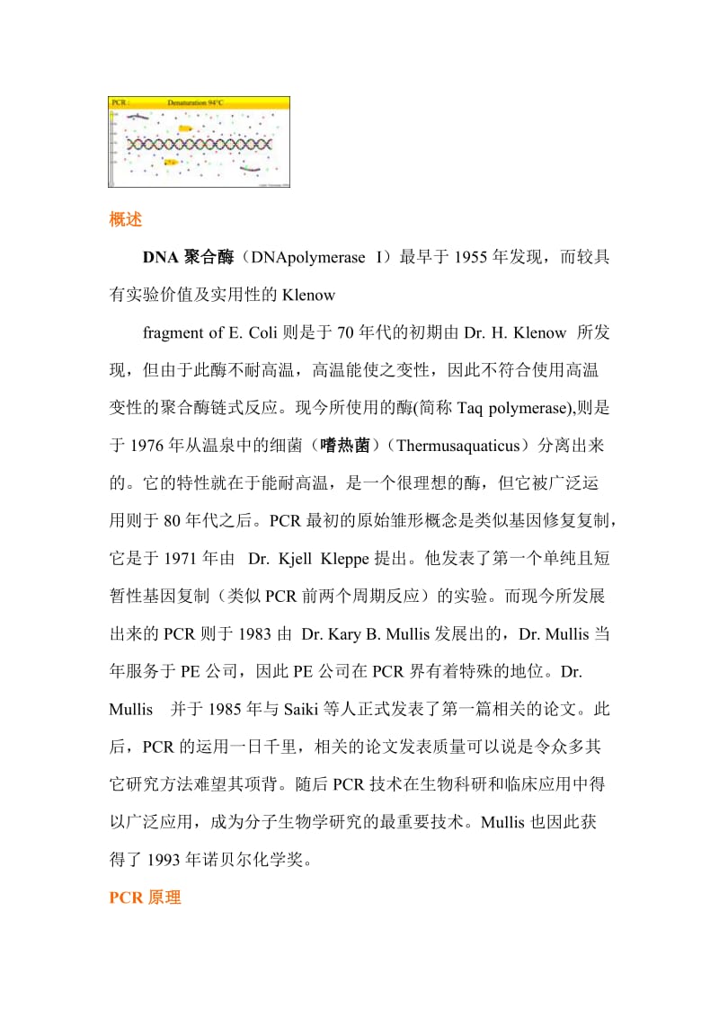 聚合酶链式反应.doc_第2页