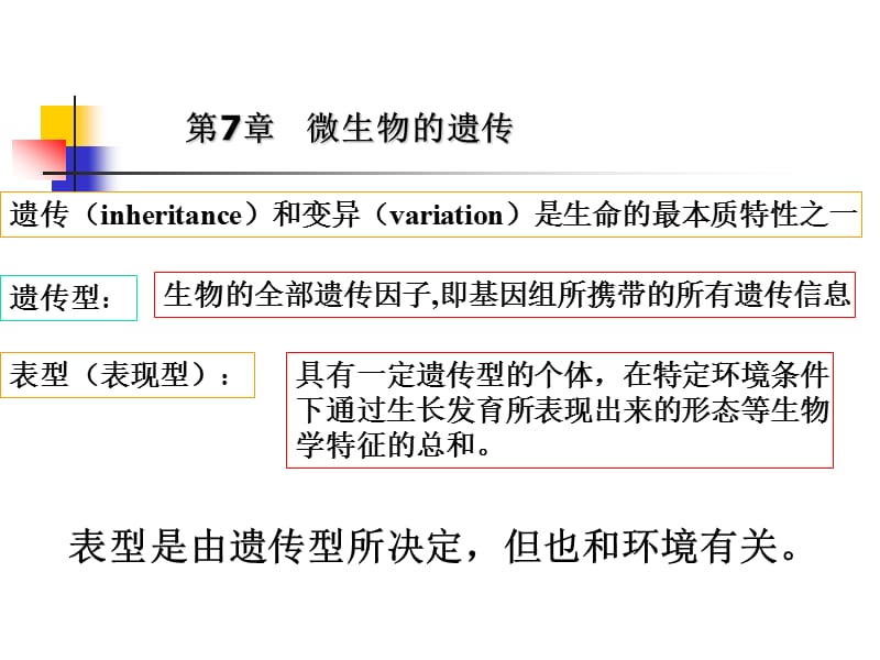 环境工程微生物学第七章微生物遗传.ppt_第2页