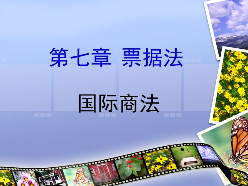 国际票据法概述正式.ppt_第1页