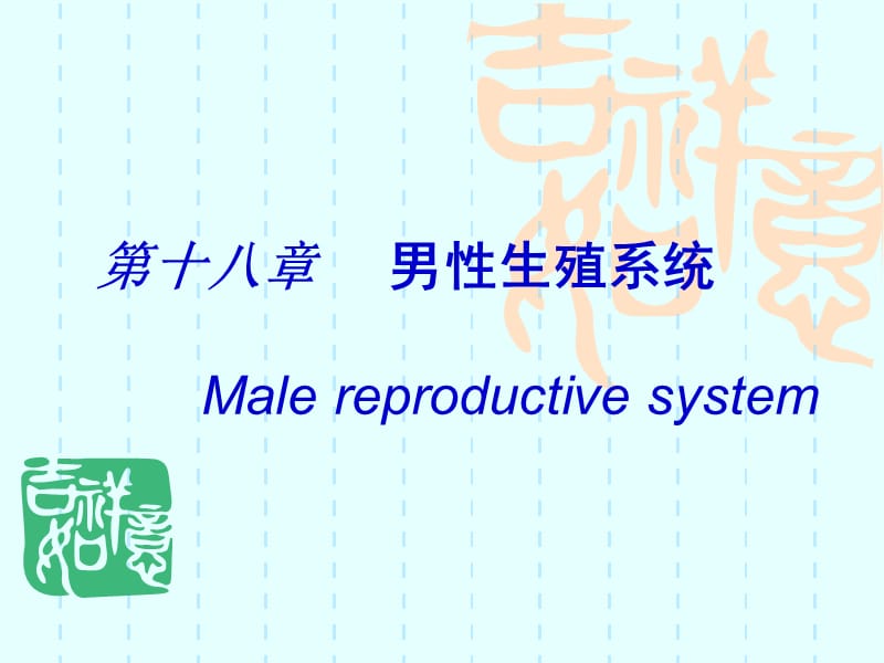 第18章男性生殖系统1.ppt_第1页