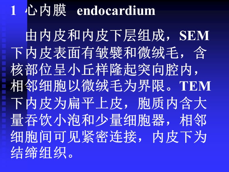 主要脏器的超微结构.ppt_第3页