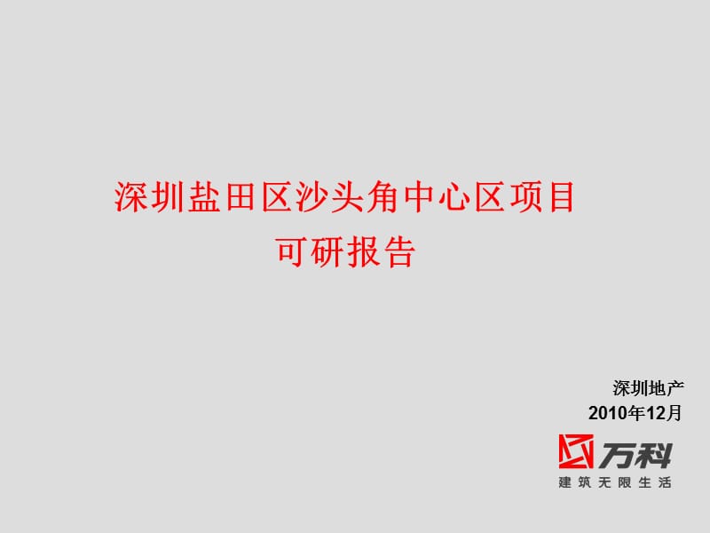 2010年12月世X深圳盐田区沙头角中心区项目可研报告40P.ppt_第1页