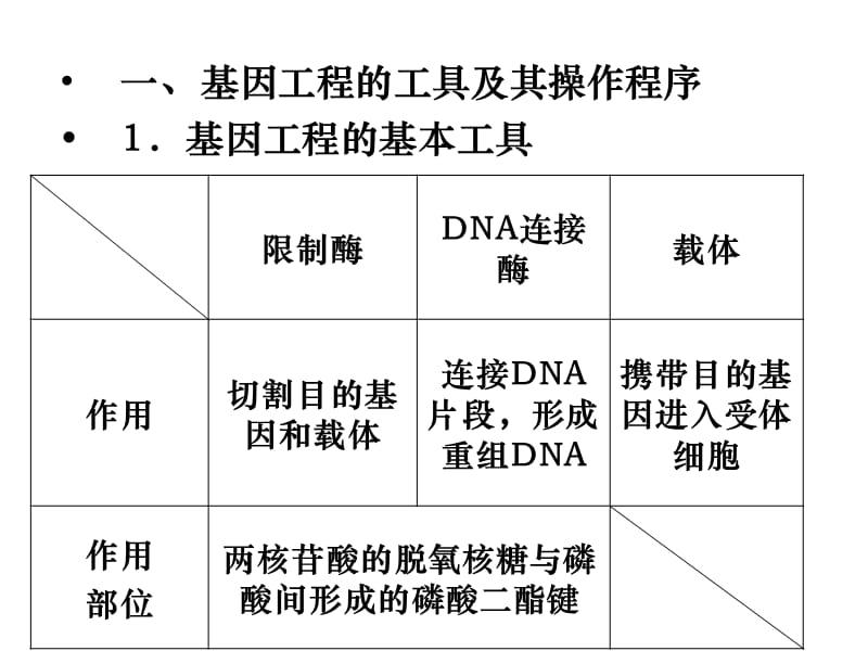 生物专题二期中复习.ppt_第2页