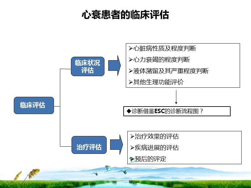 2013中国成人心力衰竭指南更新.ppt_第3页