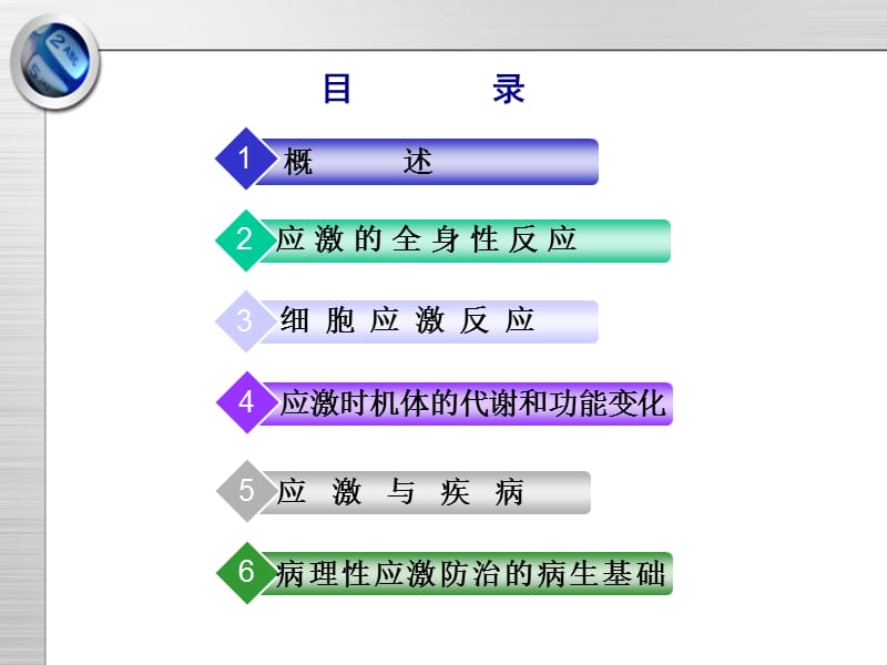 应激.ppt_第2页