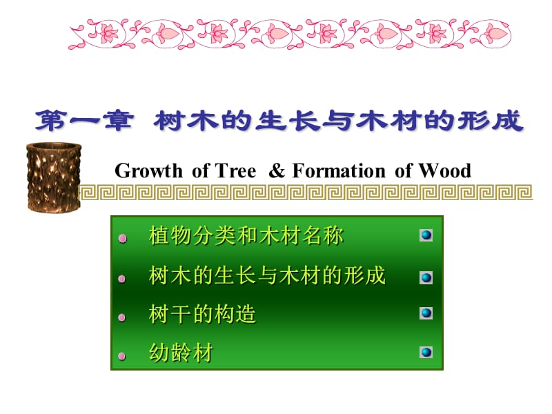 树木生长与木材形成 (2).ppt_第1页
