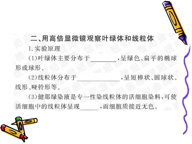 细胞器--系统内的分工合作.ppt_第3页