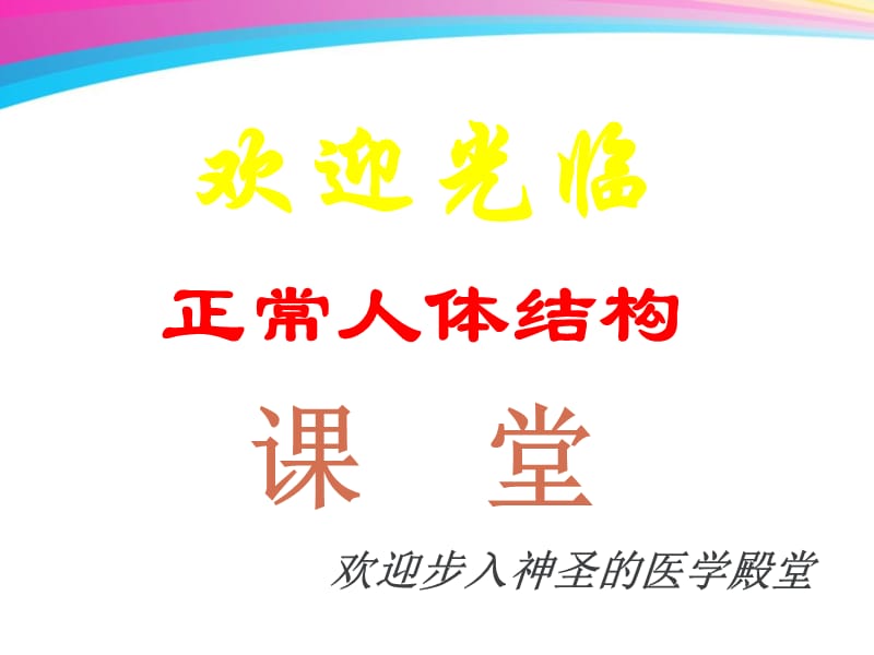 正常人体学wang.ppt_第2页