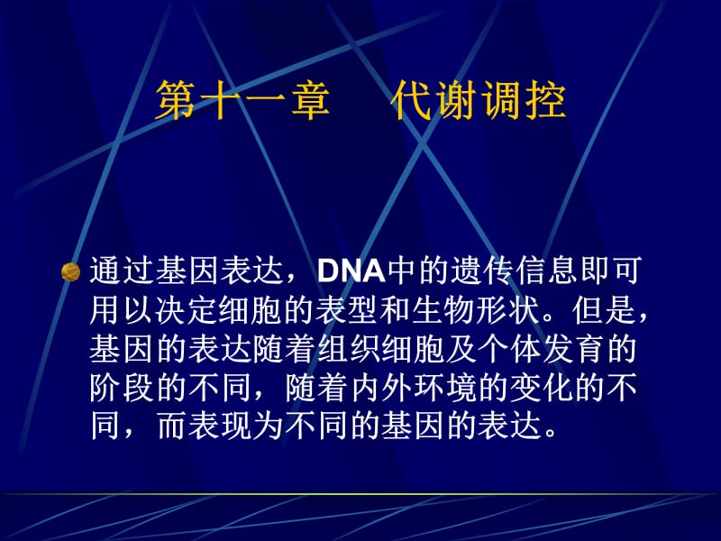 第十三章物质代谢的相互联系和调节控制.ppt_第1页