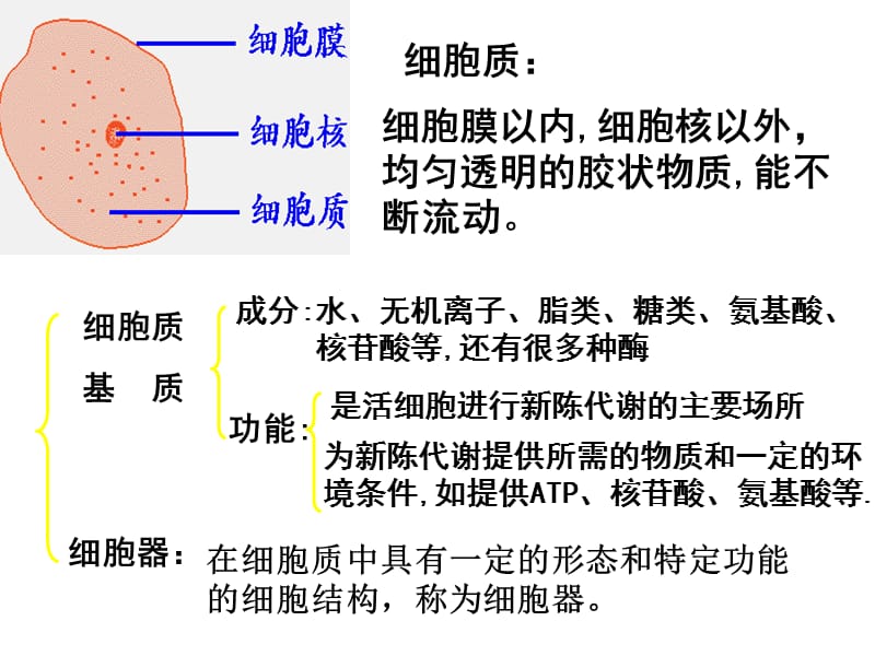 细胞器(1).ppt_第3页