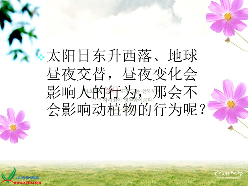 昼夜对动植物的影响.ppt_第2页